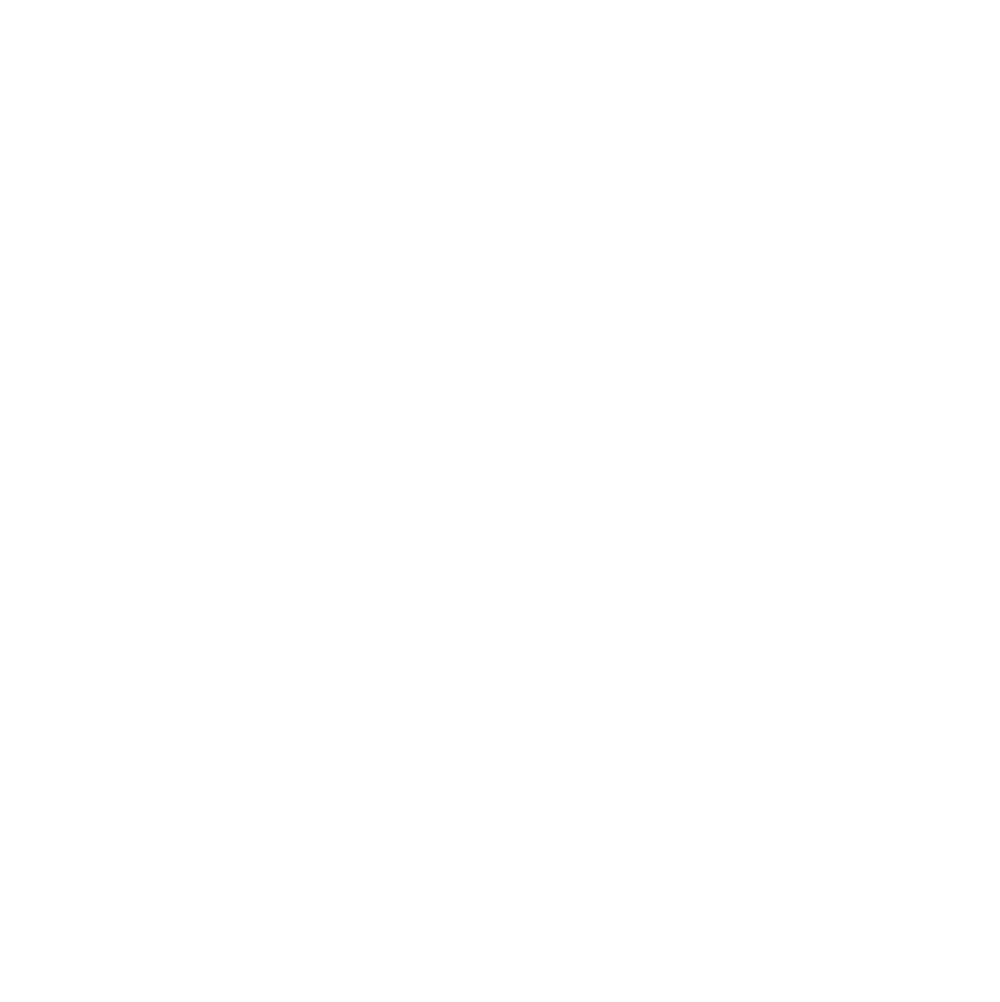 Narrenverein Schwanenmühle